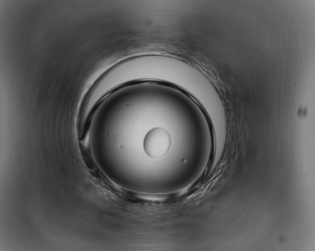 X0000101450292200807071412