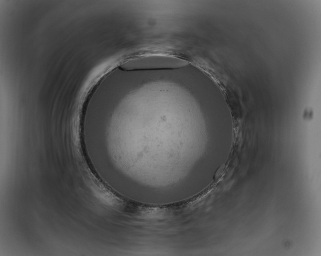 X0000101450293200807071412