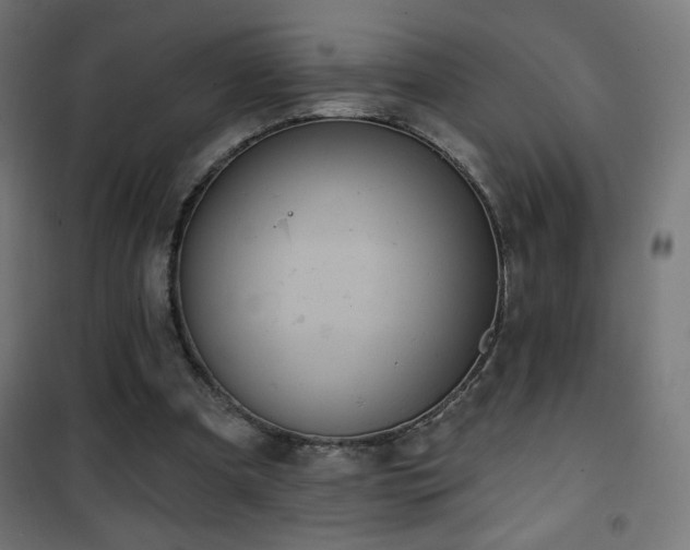 X0000101450297200807071412