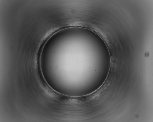 X0000101450298200807071412