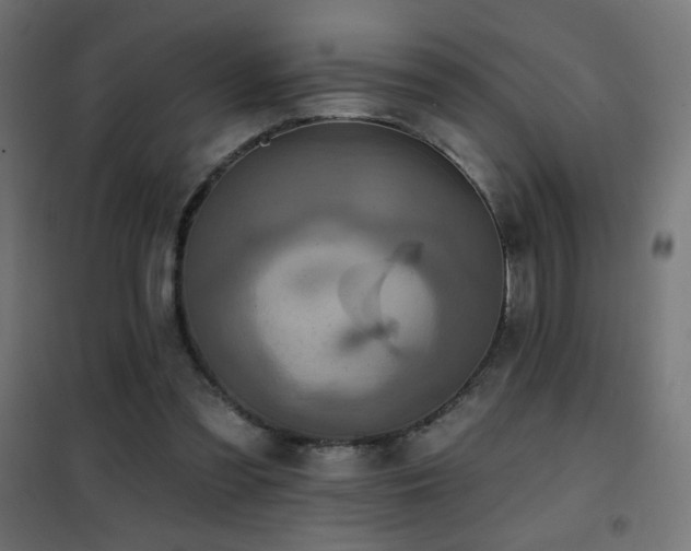 X0000101450301200807071412