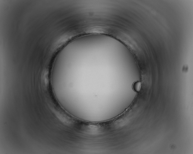 X0000101450302200807071412