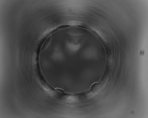 X0000101450303200807071412