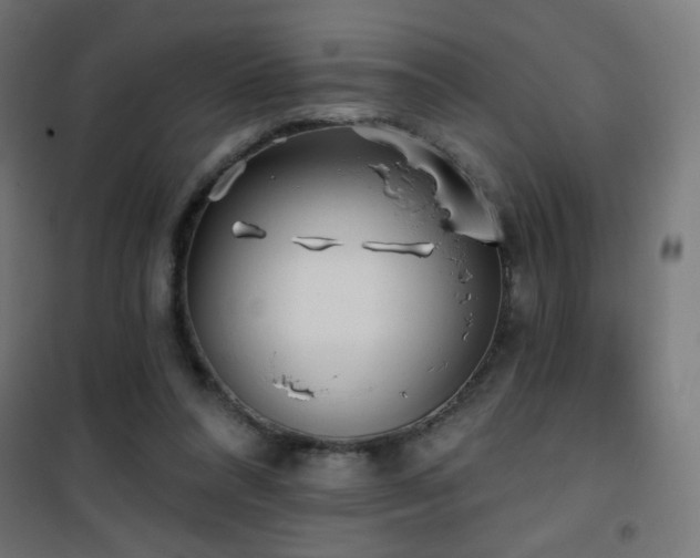 X0000101450304200807071412