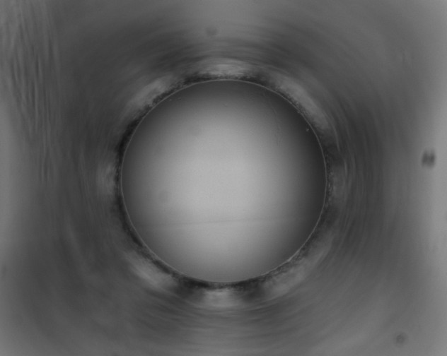 X0000101450309200807071412