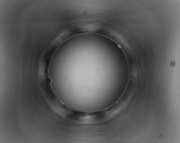 X0000101450312200807071412