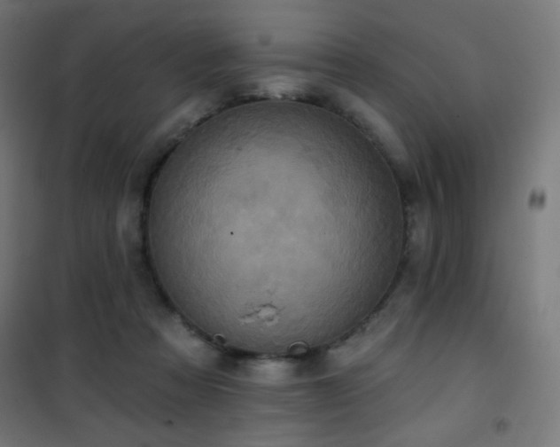 X0000101450313200807071412