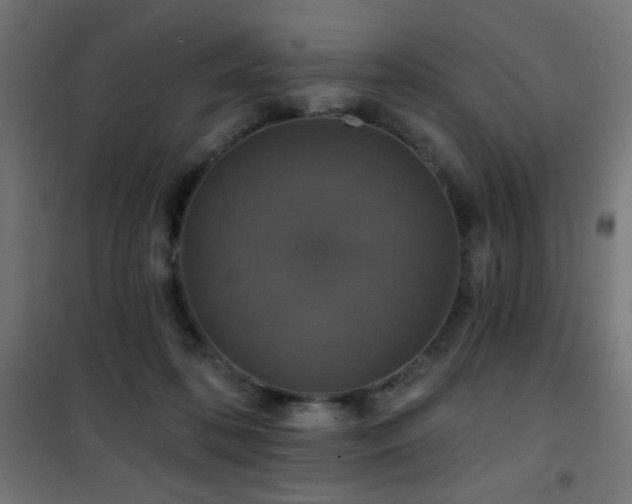 X0000101450316200807071412