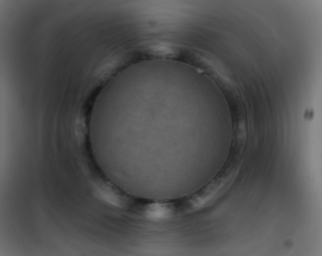 X0000101450320200807071412