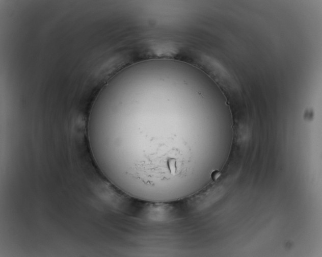 X0000101450321200807071412