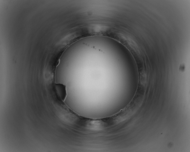 X0000101450324200807071412