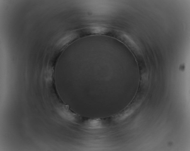 X0000101450325200807071412