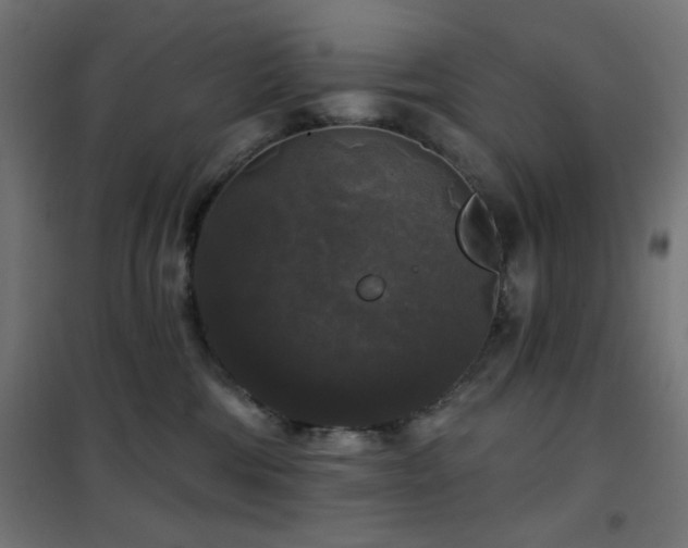 X0000101450330200807071411