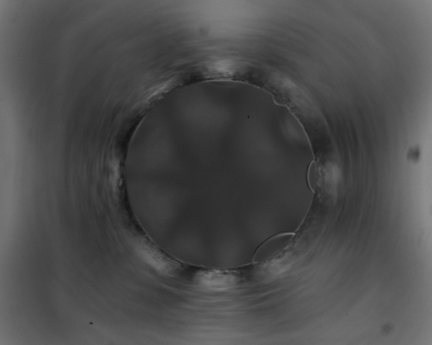 X0000101450331200807071411