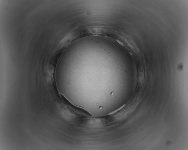 X0000101450332200807071411