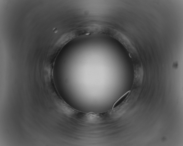 X0000101450333200807071411