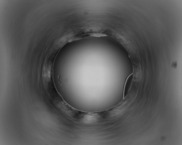 X0000101450334200807071411