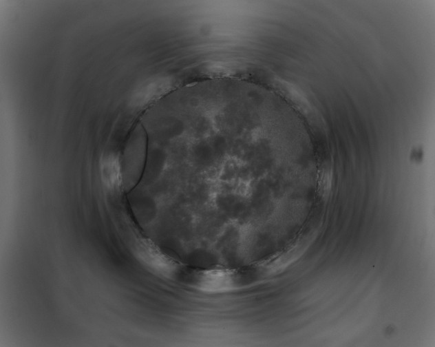 X0000101450335200807071411