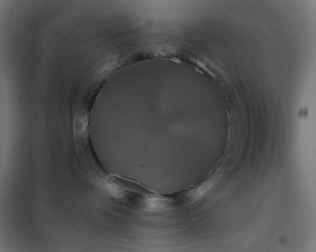 X0000101450336200807071411