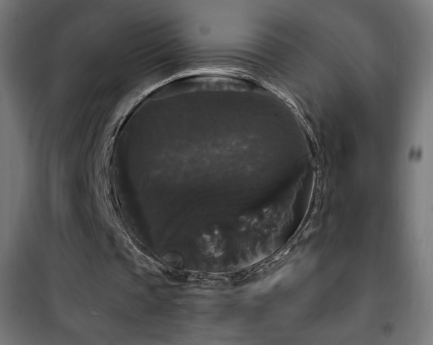 X0000101450337200807071411