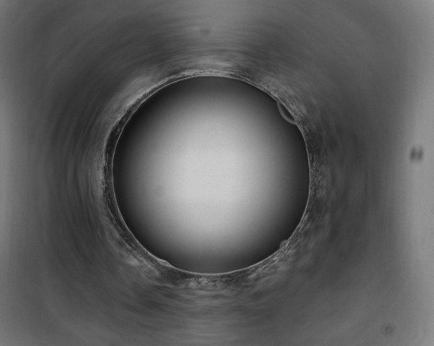 X0000101450338200807071411