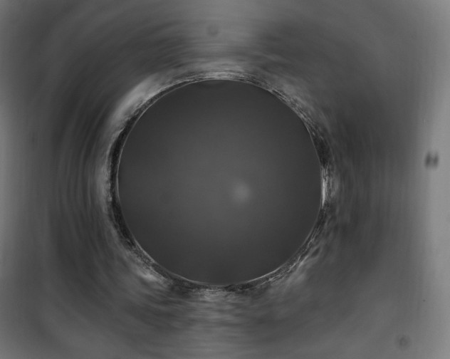 X0000101450339200807071411