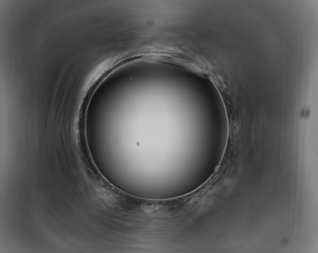 X0000101450340200807071411