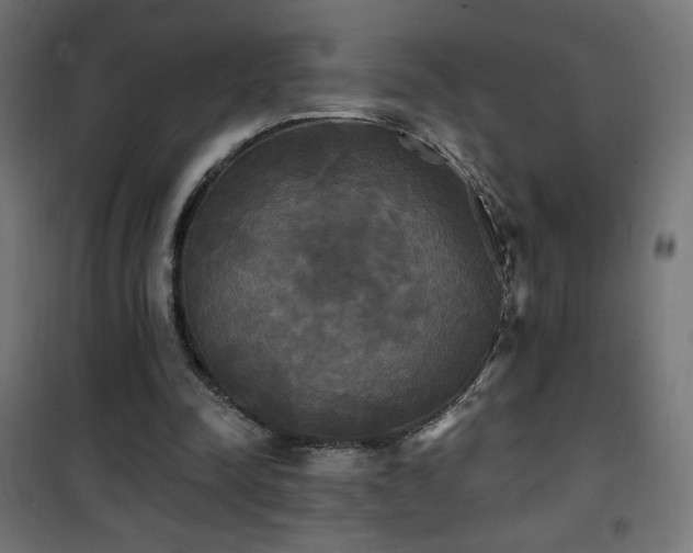 X0000101450342200807071411