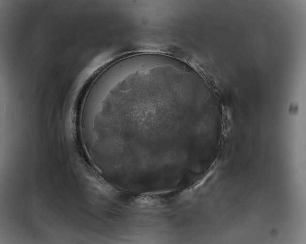 X0000101450343200807071411