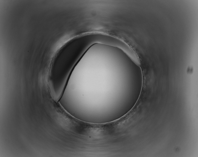 X0000101450344200807071411