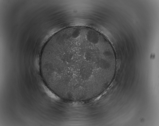 X0000101450345200807071411