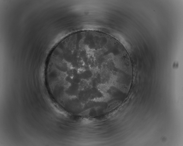 X0000101450346200807071411