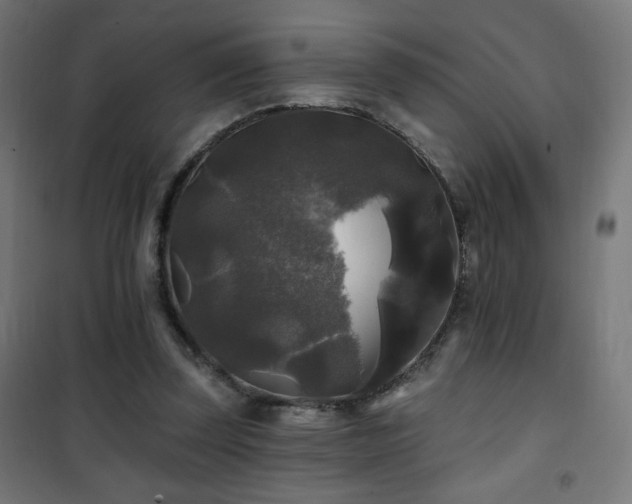 X0000101450347200807071411