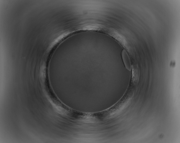 X0000101450348200807071411