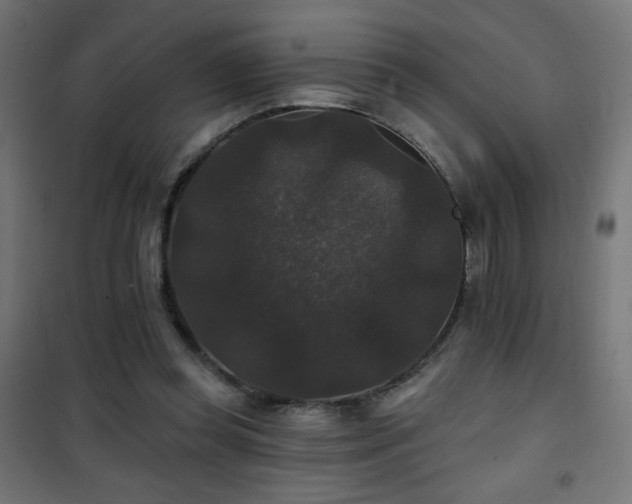 X0000101450349200807071411