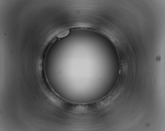 X0000101450350200807071411