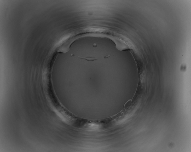 X0000101450352200807071411