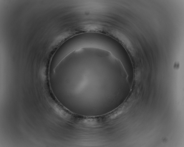 X0000101450353200807071411