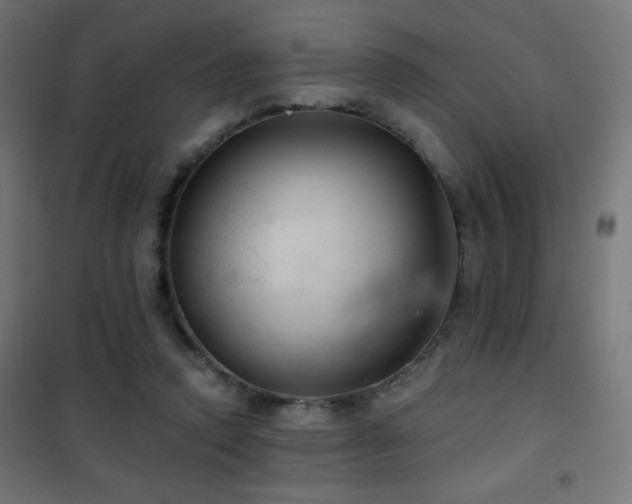X0000101450354200807071411