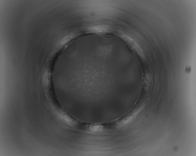 X0000101450355200807071411