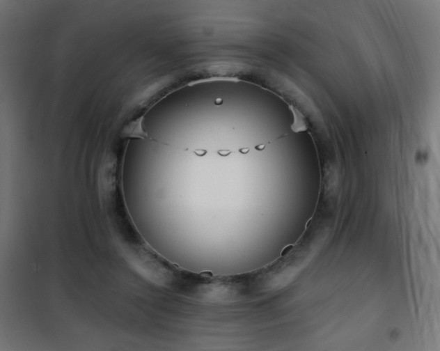 X0000101450356200807071411