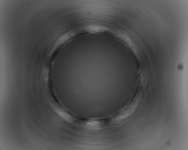 X0000101450357200807071411