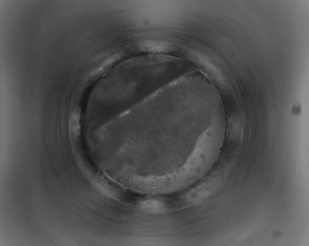 X0000101450358200807071411