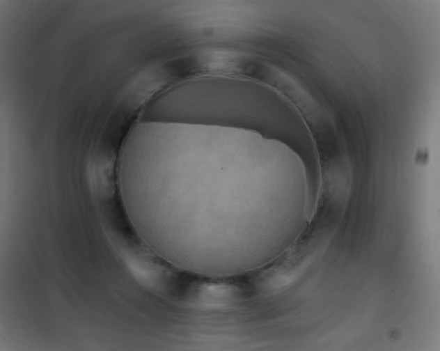 X0000101450360200807071411