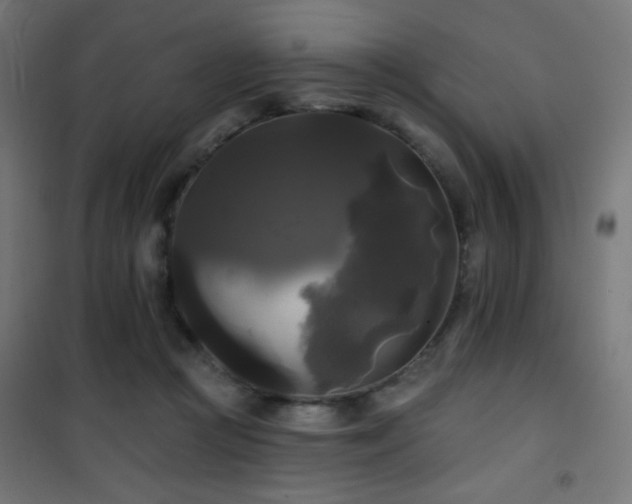 X0000101450361200807071411