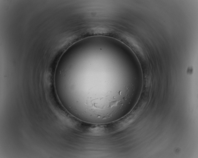 X0000101450362200807071411