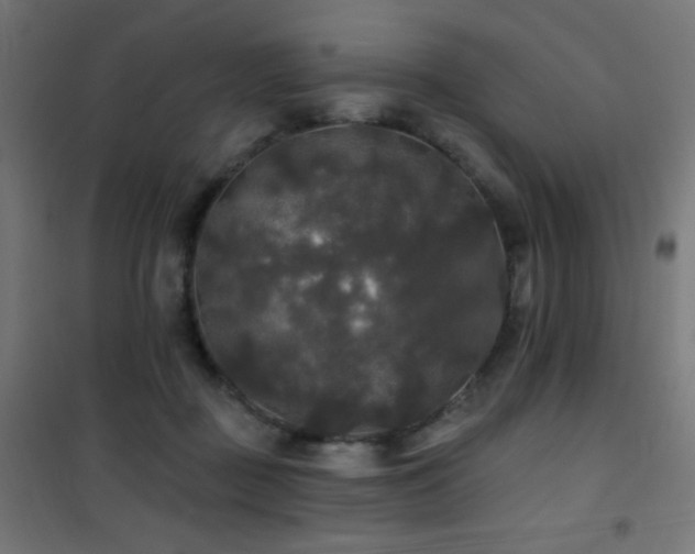 X0000101450363200807071411