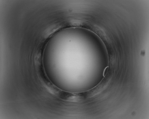 X0000101450364200807071411