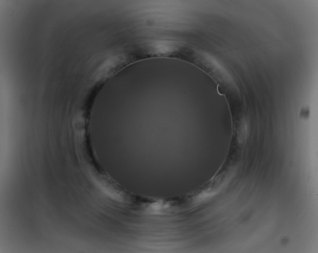 X0000101450366200807071411