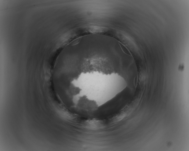 X0000101450367200807071411